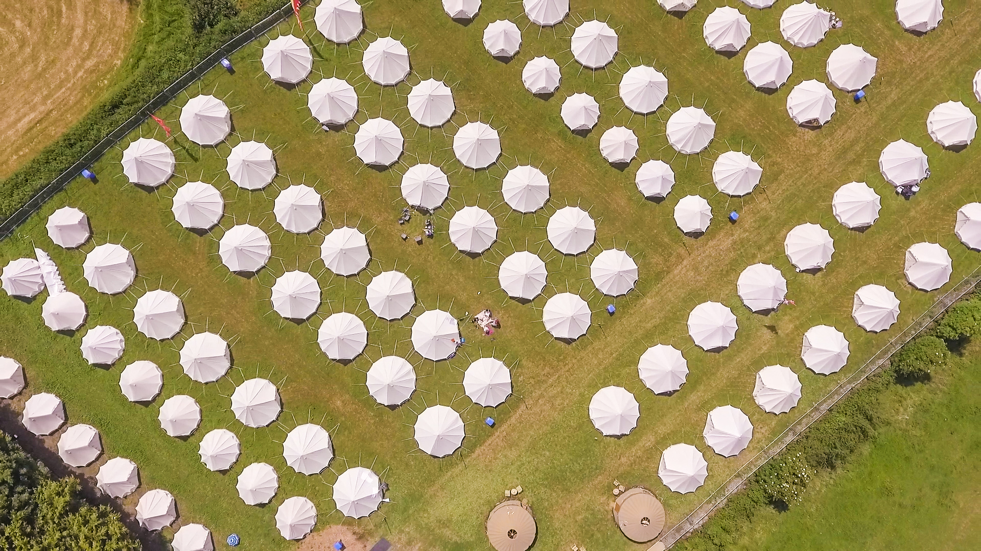 Book Glastonbury Glamping Packages With Zootopia